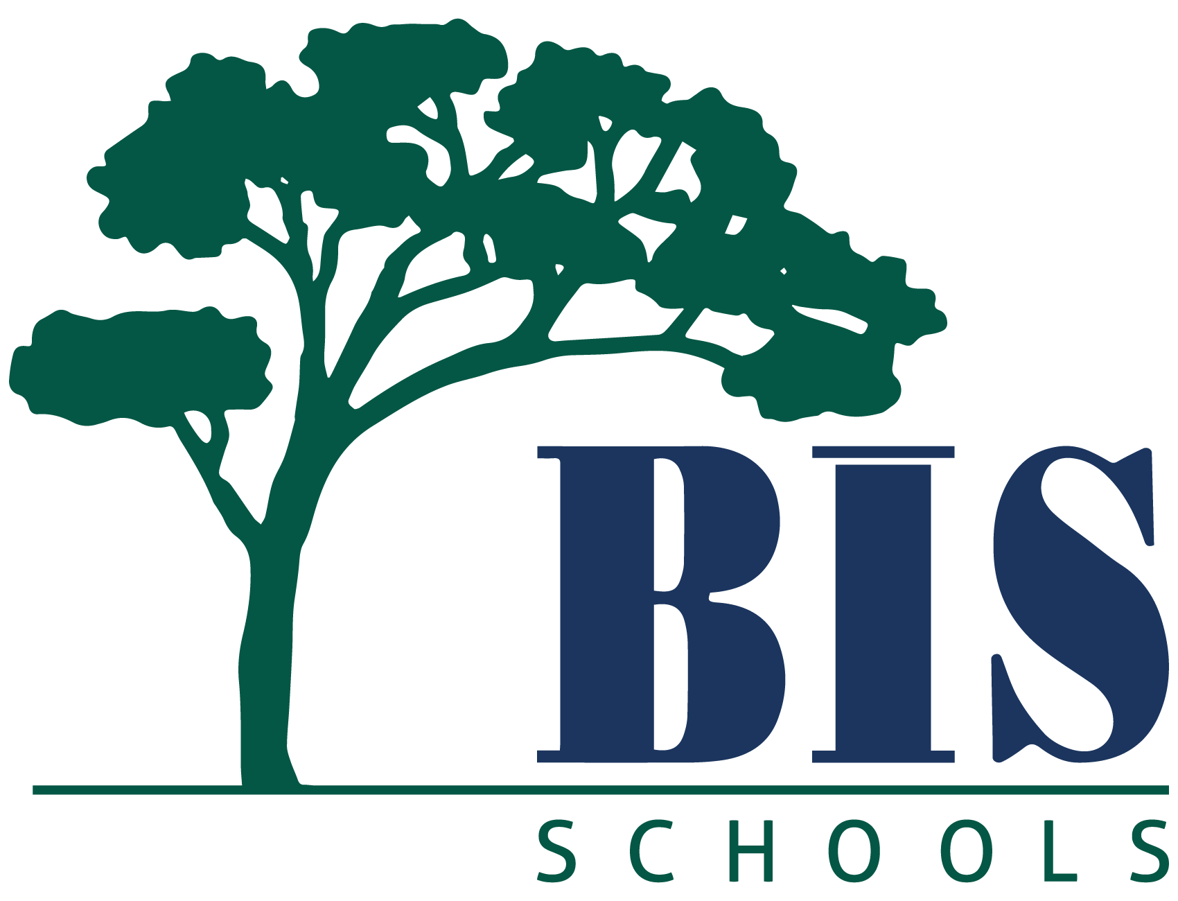 BIS Alkent School